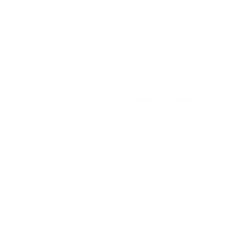 borm logo
